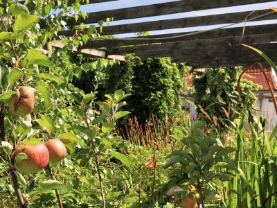 Holiday house 8 person holiday home in Nykøbing F-By Traum - Outdoor photo 7