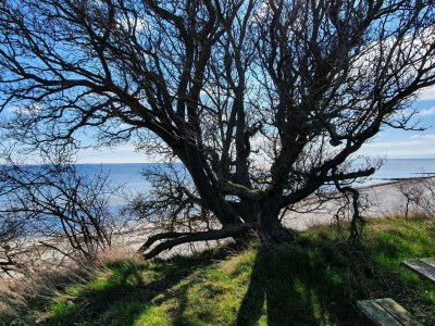 Holiday house 8 person holiday home in Nykøbing F-By Traum - Outdoor photo 20