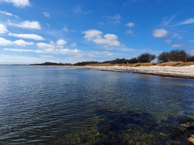 Holiday house 8 person holiday home in Nykøbing F-By Traum - Outdoor photo 26