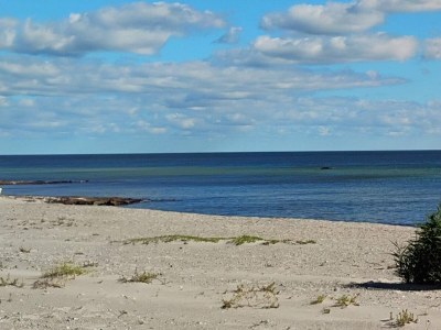 Holiday house 8 person holiday home in Nykøbing F-By Traum - Outdoor photo 33