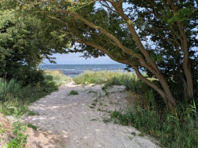 Holiday house 8 person holiday home in Nykøbing F-By Traum - Outdoor photo 35