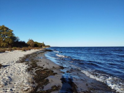 Holiday house 8 person holiday home in Nykøbing F-By Traum - Outdoor photo 38