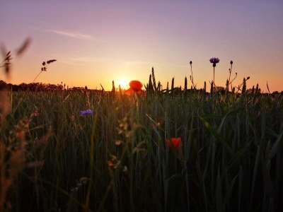 Holiday house 6 Personen Ferienhaus in Skibby-By Traum - Outdoor photo 12