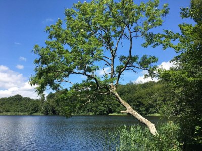 Holiday house 6 Personen Ferienhaus in Skibby-By Traum - Outdoor photo 23