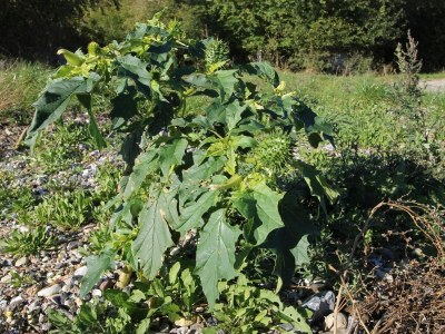 Holiday house 6 Personen Ferienhaus in Skibby-By Traum - Outdoor photo 36