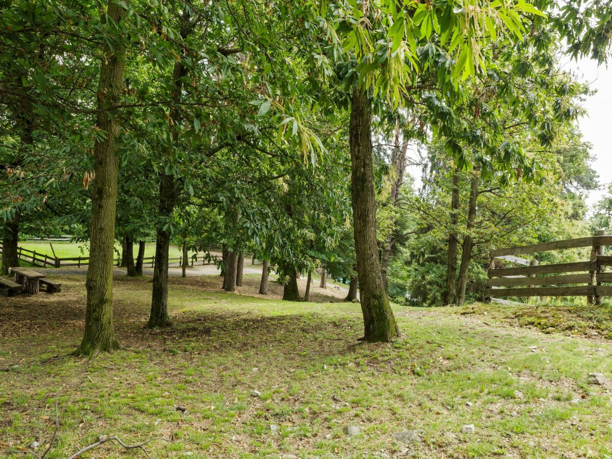 Farmhouse Bauernhaus in Verbania mit Seeblick - Outdoor photo 2