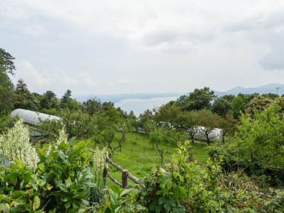 Farmhouse Bauernhaus in Verbania mit Seeblick - Environment photo 30