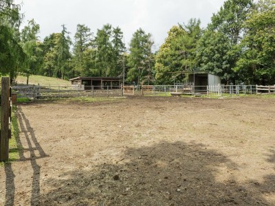 Farmhouse Bauernhaus in Verbania mit Seeblick - Outdoor photo 33