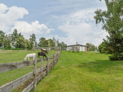 Farmhouse Bauernhaus in Verbania mit Seeblick - Outdoor photo 35