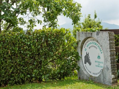 Farmhouse Bauernhaus in Verbania mit Seeblick - Outdoor photo 39