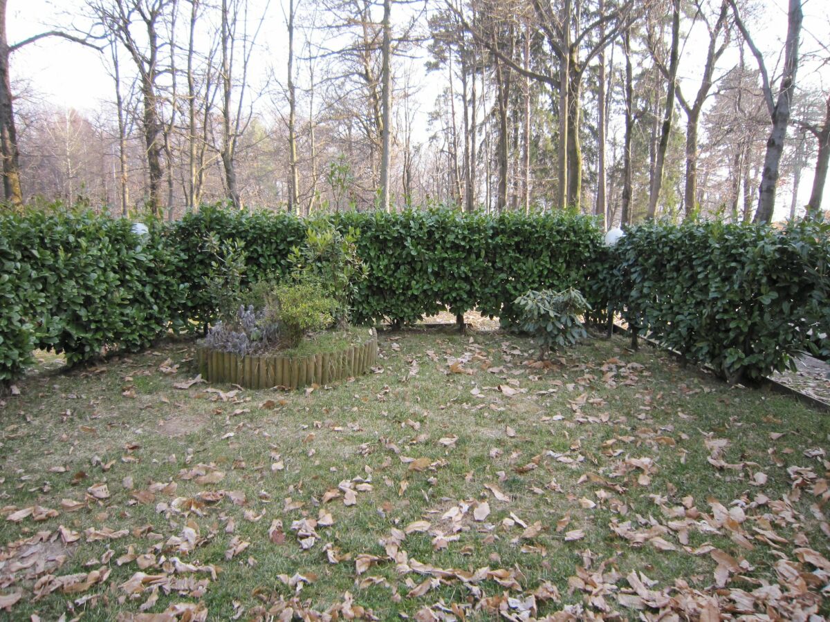 Farmhouse Farmhouse in Verbania with Mountain Views - Outdoor photo 5