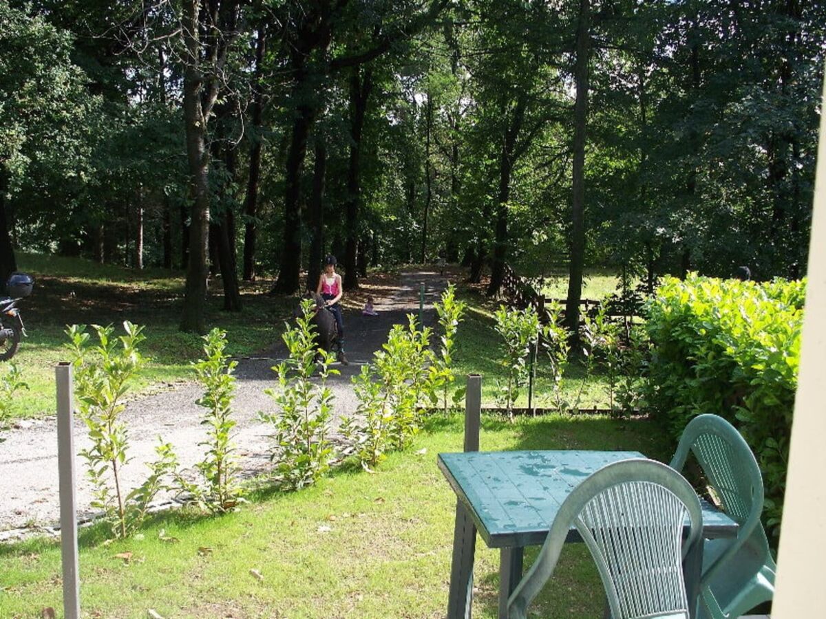 Holiday house Cottage in Intra with Lake and Mountain Views - Outdoor photo 3