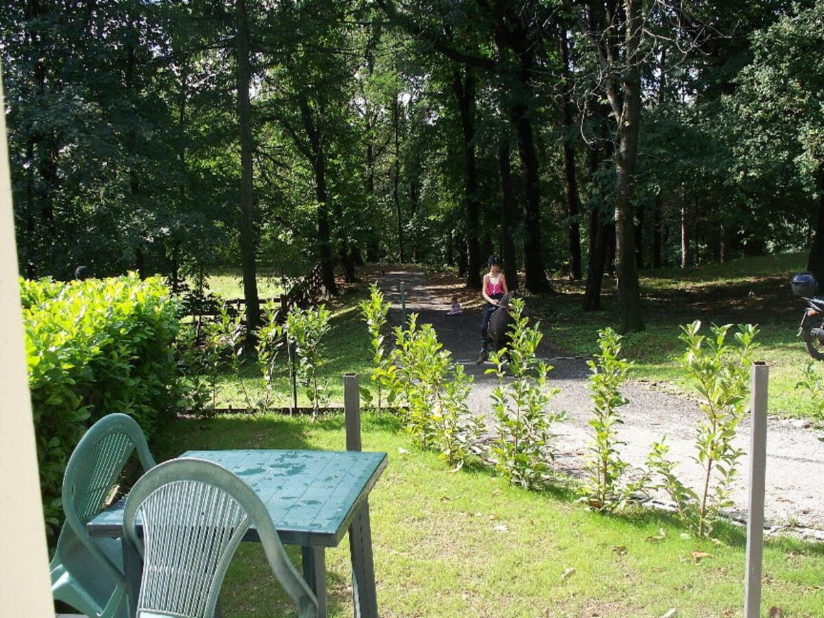 Holiday house Cottage in Intra with Lake and Mountain Views - Outdoor photo 5