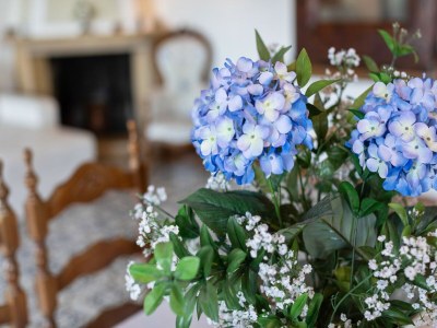 Villa Villa in Torri with Pool & Mountain Views - Outdoor photo 37