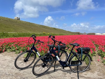 Apartment Apartment Nr. 119 in the holiday park Strandslag - Environment photo 12