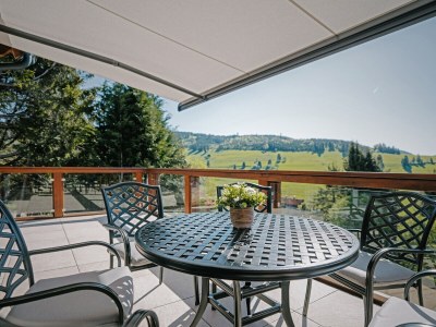 Holiday house Chalet Foret - Outdoor photo 3