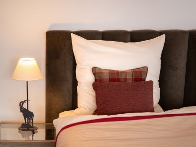 Holiday house Chalet Foret - Features photo 11