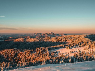 Holiday house Chalet Foret - Environment photo 25