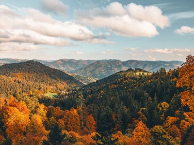 Holiday house Chalet Foret - Environment photo 26