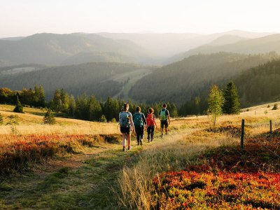 Holiday house Chalet Foret - Environment photo 27