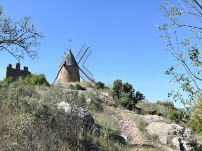 Villa Roquebrun Villa mit Pool - Environment photo 18