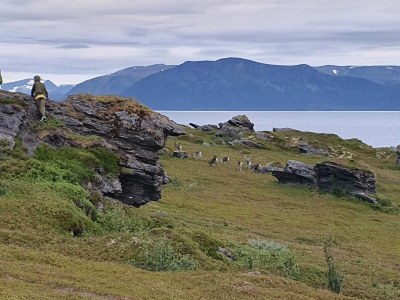 Holiday house 6 Personen Ferienhaus in Svensby-By Traum - Outdoor photo 16
