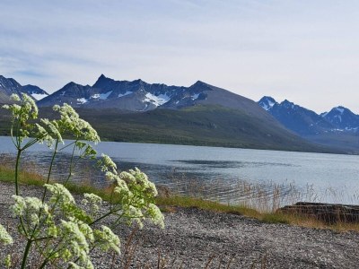 Holiday house 6 Personen Ferienhaus in Svensby-By Traum - Outdoor photo 18