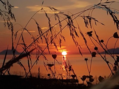 Holiday house 6 Personen Ferienhaus in Svensby-By Traum - Outdoor photo 41