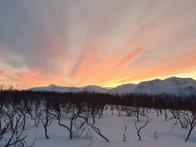 Holiday house 6 Personen Ferienhaus in Svensby-By Traum - Outdoor photo 44