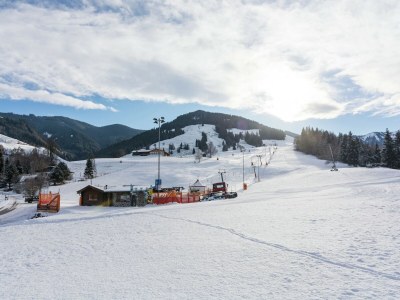 Apartment Wohnung in Leogang nahe Skipiste - Environment photo 18
