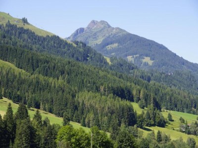 Apartment Wohnung in Leogang nahe Skipiste - Environment photo 26