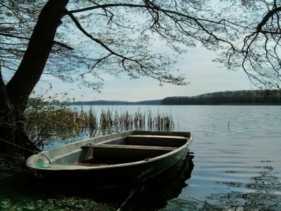 Apartment Ferienwohnung in Buchholz am Müritzsee - Environment photo 38
