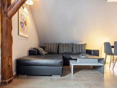 Apartment Studio in Buchholz am Müritzsee - Features photo 9