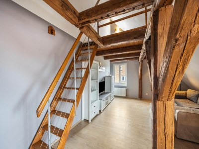 Apartment Studio in Buchholz am Müritzsee - Features photo 21