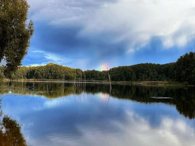 Apartment Studio in Buchholz am Müritzsee - Environment photo 33