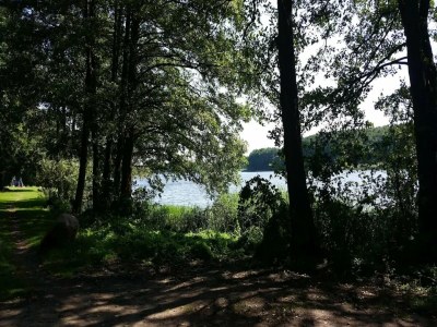 Apartment Studio in Buchholz am Müritzsee - Environment photo 44