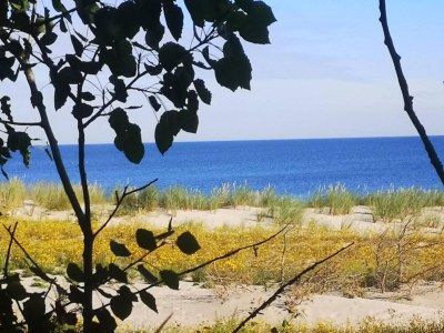 Apartment Studio in Buchholz am Müritzsee - Environment photo 56