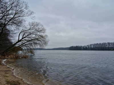 Holiday house Reihenhaus mit WLAN in Buchholz am Müritzsee - Environment photo 53
