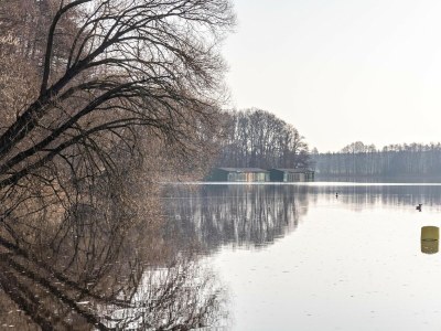 Apartment Ferienwohnung in Buchholz am Müritzsee - Environment photo 30