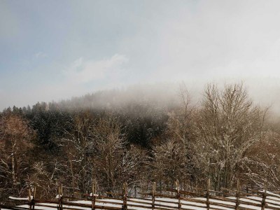 Apartment Ferienhaus "Die Keusche" - Outdoor photo 19