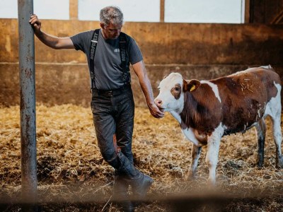 Apartment Ferienhaus "Die Keusche" - Outdoor photo 22