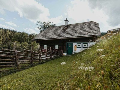 Holiday room Ferienhaus "Zieslerhaus" - Outdoor photo 10