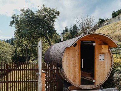 Holiday room Ferienhaus "Zieslerhaus" - Features photo 54