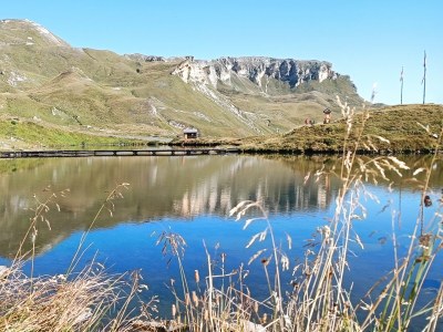 Holiday apartment Die MÃ¼llerin - Environment photo 19