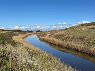 Holiday house Geraumiges Refugium fur 20 -- By Traum Ferienwohnungen - Outdoor photo 12