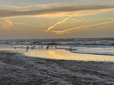 Holiday house Geraumiges Refugium fur 20 -- By Traum Ferienwohnungen - Outdoor photo 19