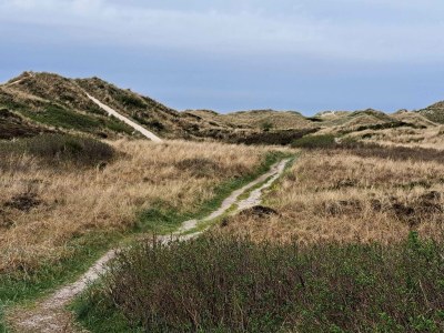 Holiday house Geraumiges Refugium fur 20 -- By Traum Ferienwohnungen - Outdoor photo 27