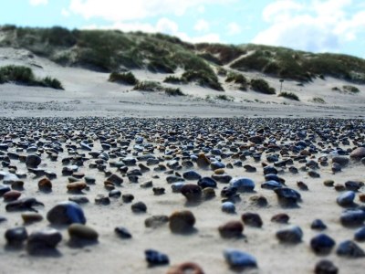 Holiday house Geraumiges Refugium fur 20 -- By Traum Ferienwohnungen - Outdoor photo 28