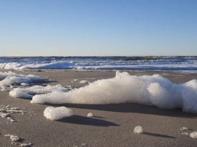 Holiday house Geraumiges Refugium fur 20 -- By Traum Ferienwohnungen - Outdoor photo 37
