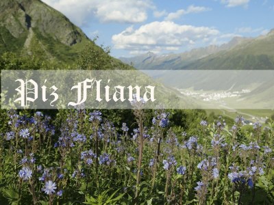 Apartment FW "Schonzeit" /2 Schlafräume/Dusche, WC - Outdoor photo 23